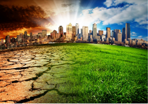 5 Ways Offices Can Lessen Global Warming